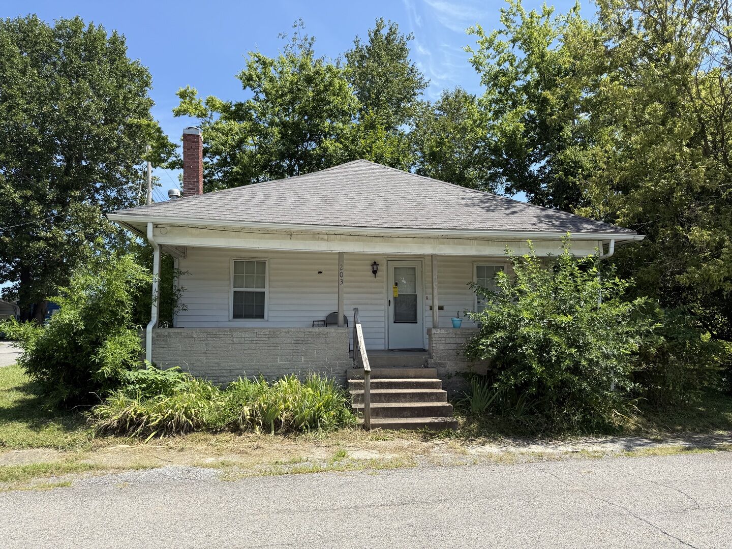Property Photo: 203 N McLaren Street IL 62959