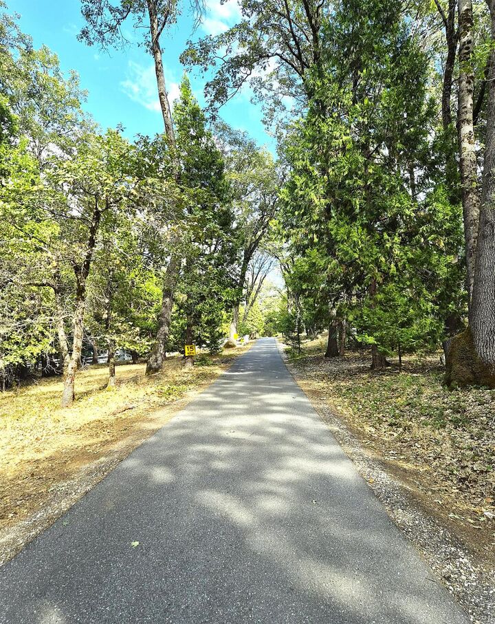Property Photo:  13117 Madrone Forest Drive  CA 95959 