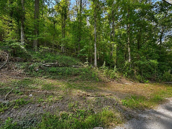 Property Photo:  0 Halls Hollow Rd  TN 37166 