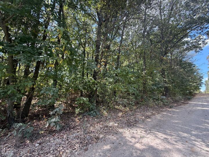Property Photo: 1 Acre County Road 320 AR 72416