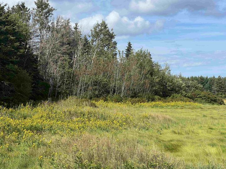 Property Photo: Acreage Cymbria PE C0A 1N0
