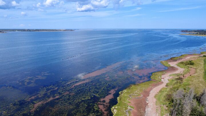 Property Photo:  Lot 2 Charlotte's Shore Lane  PE C0A 1T0 