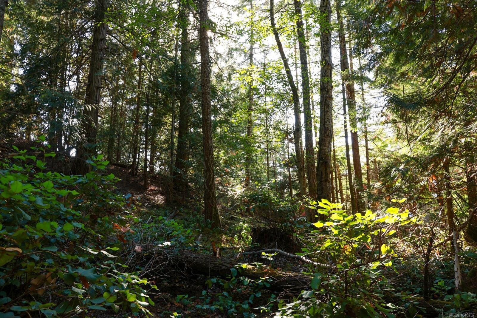 Property Photo:  3624 Foc-Sle Rd  BC V0N 2M0 