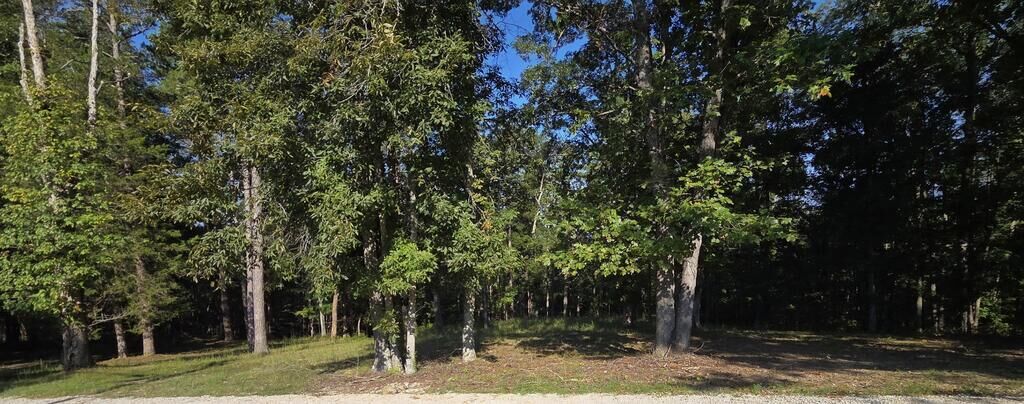 Property Photo:  0 Lake Ridge Road  KY 41230 
