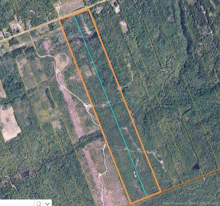 Property Photo:  Vacant Land St Maure  NB E8E 1M9 