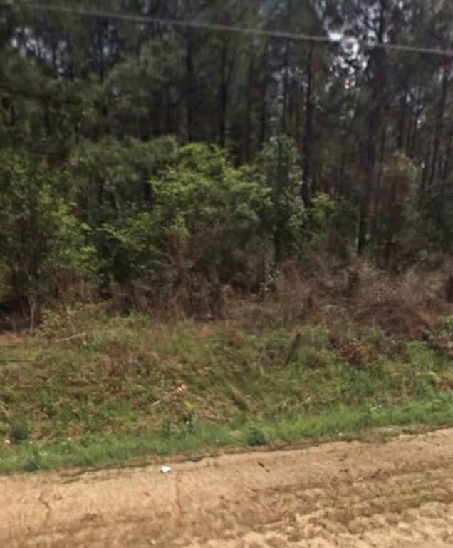 Property Photo:  000 Willie Varnum Road  AL 36301 