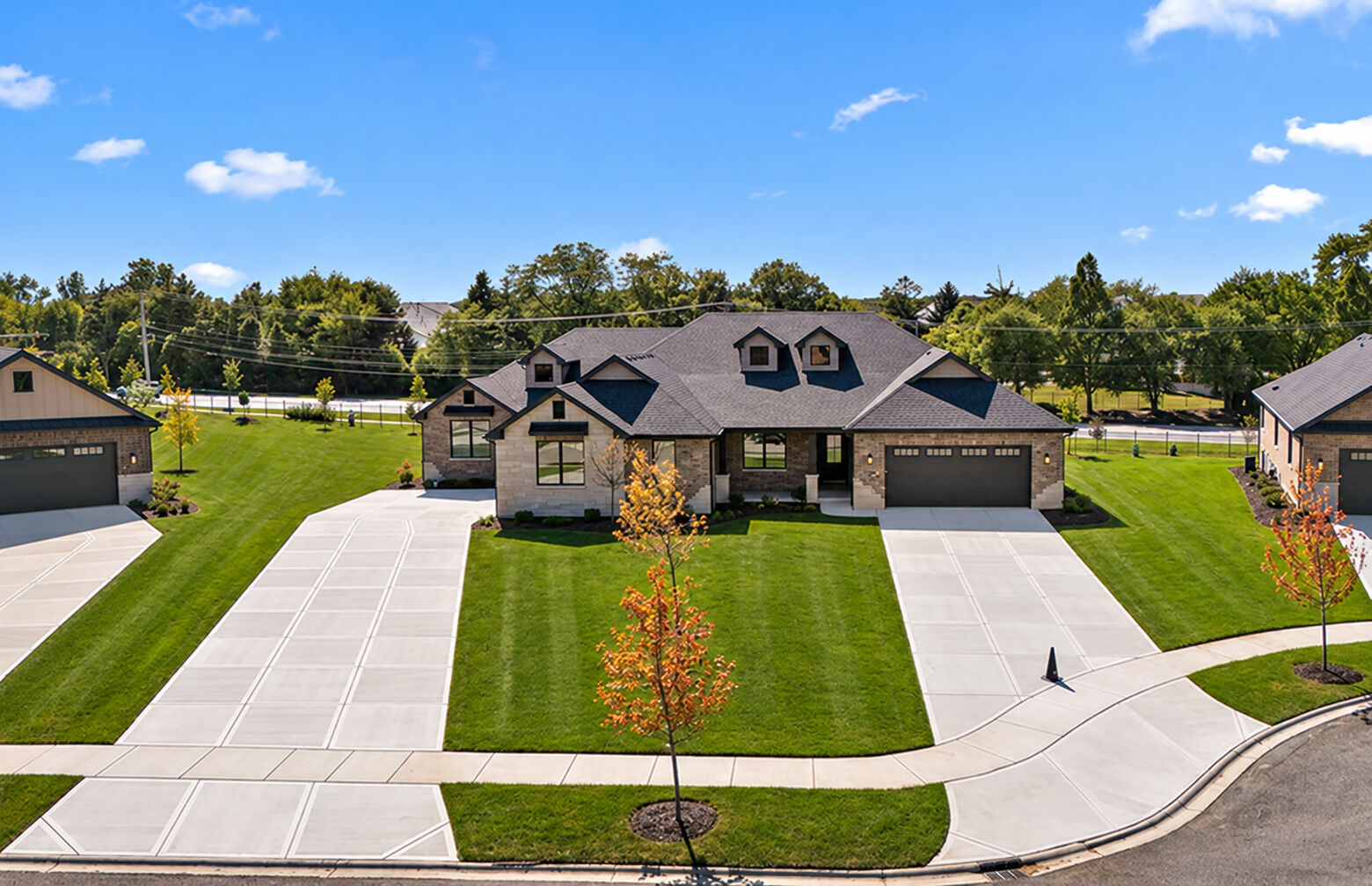 Property Photo: 11167 Lizmore Lane IL 60467