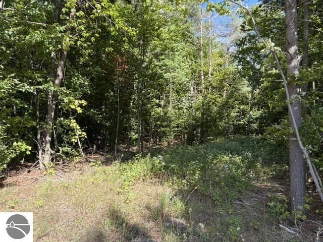 Property Photo: 000 Paradise Ridge Trail MI 49684