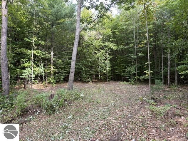 Property Photo: 000 Paradise Ridge Trail MI 49684