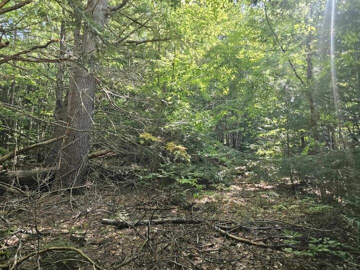 Property Photo: 00 Apple Hill Road NH 03445