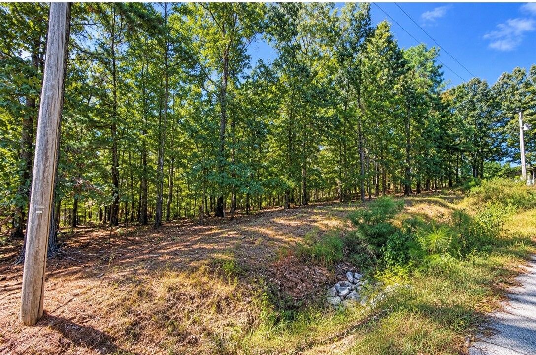 Property Photo:  Kelaen Circle  AR 72715 