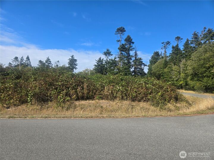 Property Photo:  0 Xxx  Lacana Street  WA 98239 