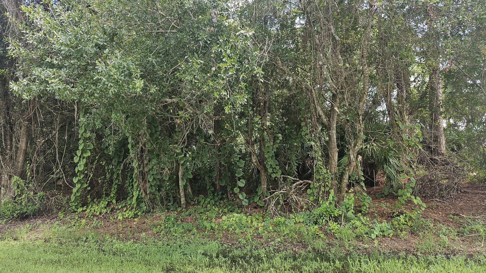 Property Photo:  1757 SW Day Street  FL 34953 
