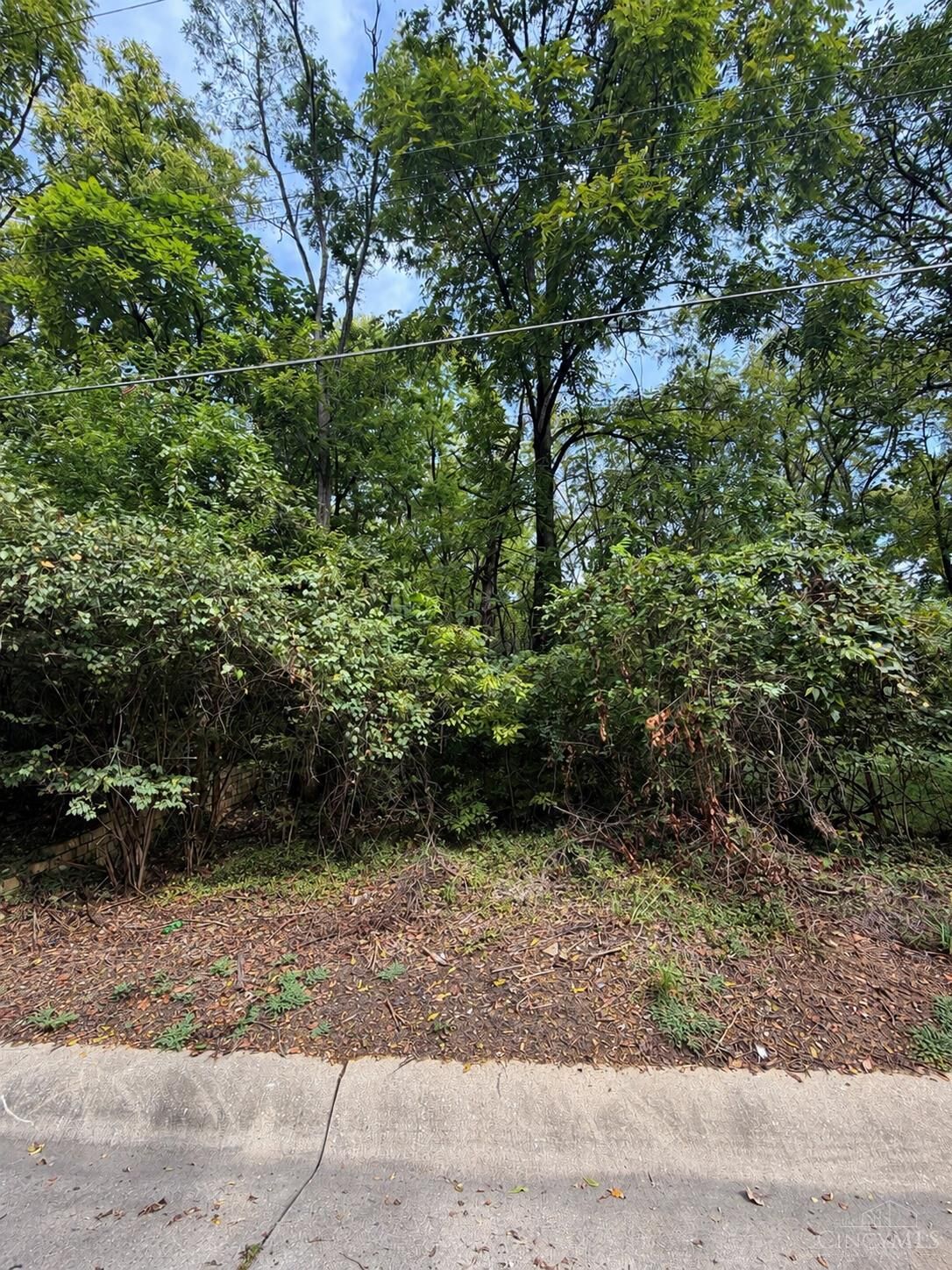 Property Photo:  1642 Sutter Avenue  OH 45225 