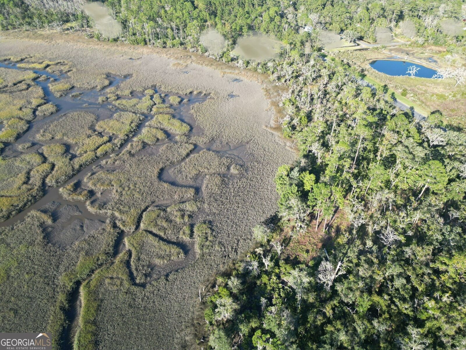 Property Photo:  V/L 120 Marina Isle Drive  GA 31569 