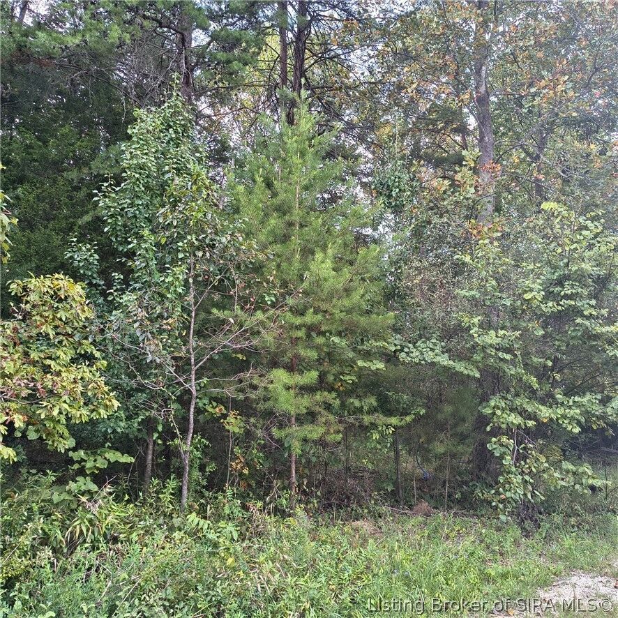 Property Photo: Tract 1 Crooked Lane IN 47112