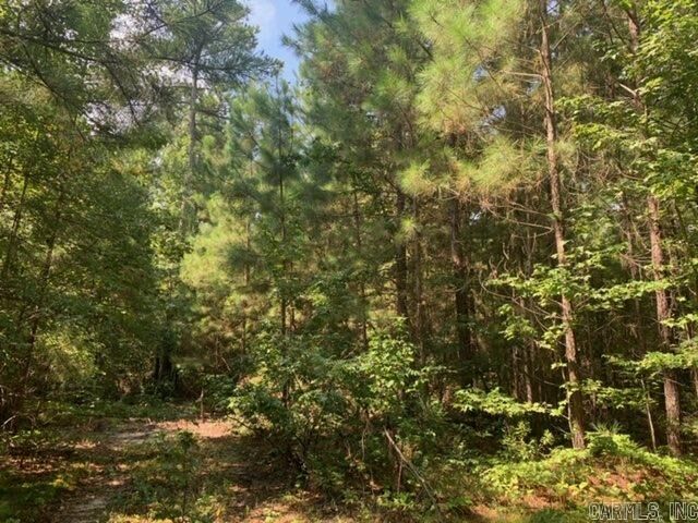Property Photo:  Lot 5 Oklahoma Inn Road  AR 72015 