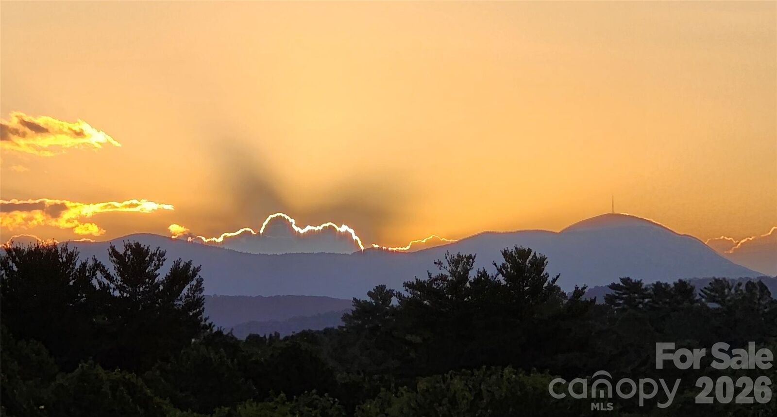 Property Photo:  77 Stonehollow Road  NC 28732 