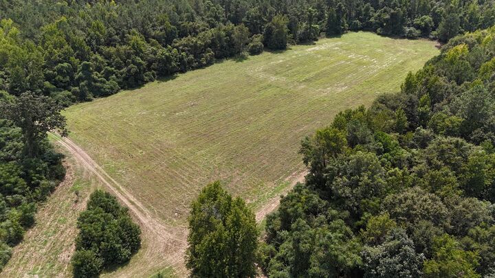 Property Photo:  286 Shrike Road  SC 29135 
