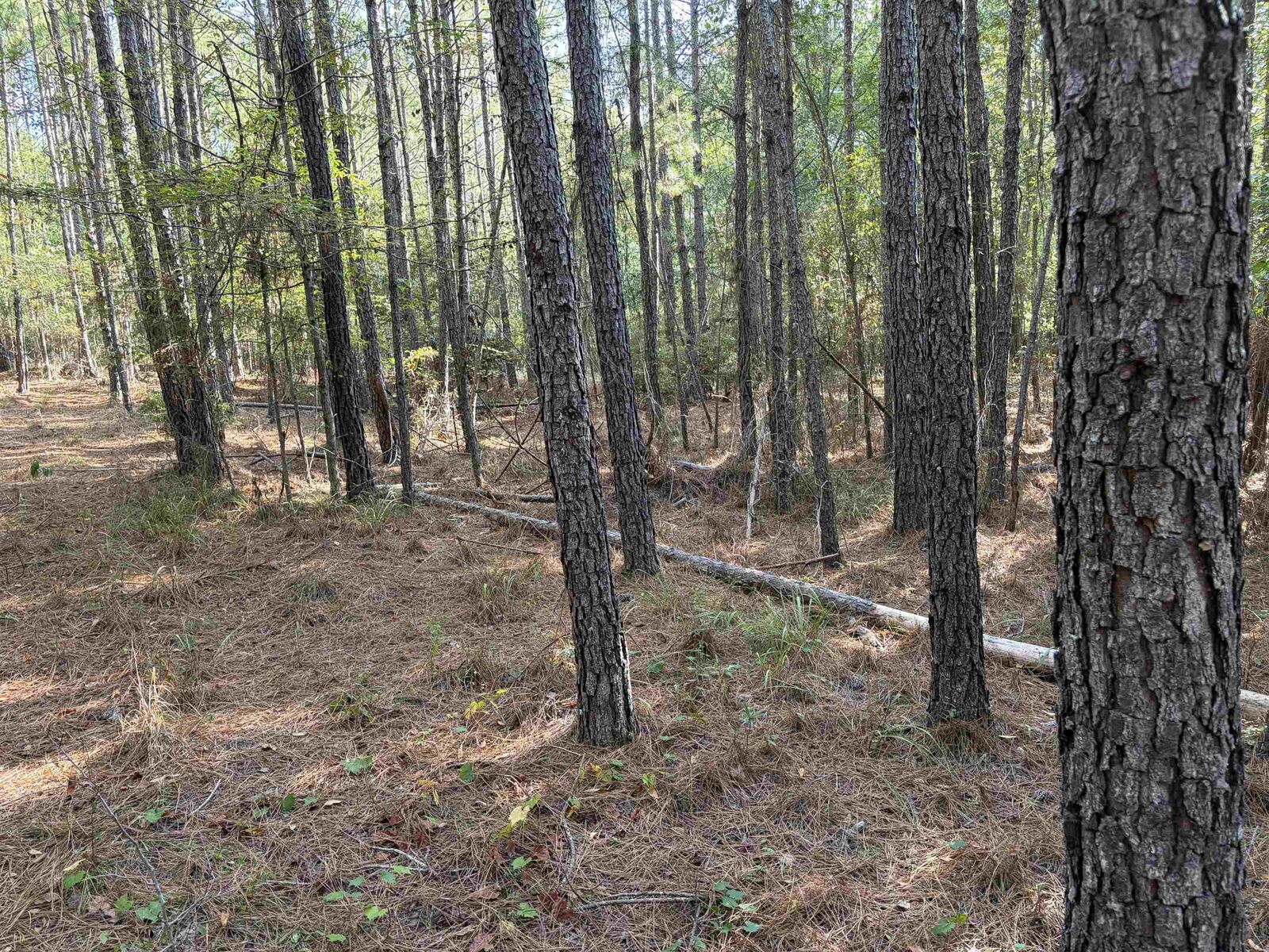 Property Photo: 672 Twin Bridges Road GA 31024