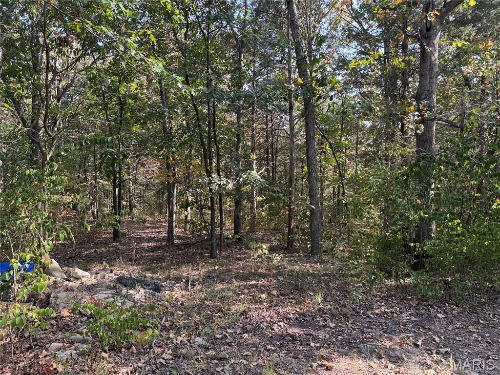 Property Photo:  11679 State Route 21  MO 63050 