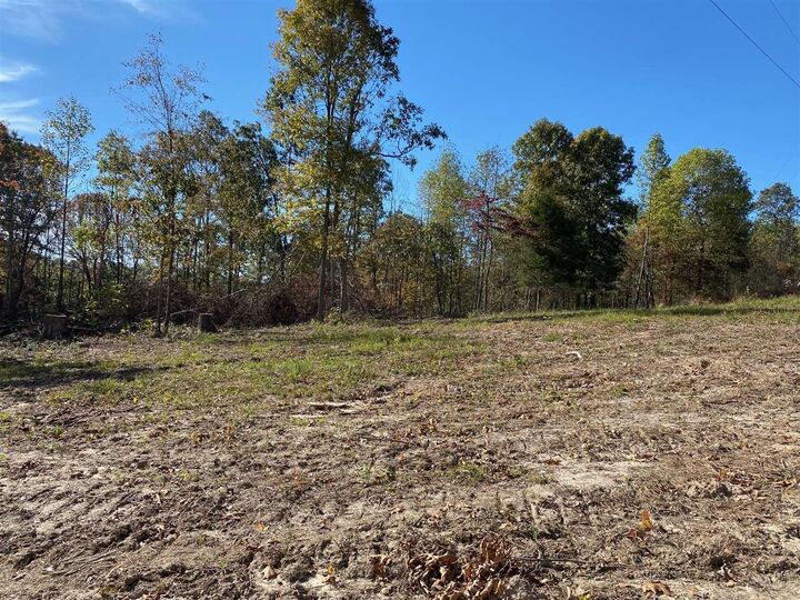Property Photo:  0 Concord Church Road  KY 42765 