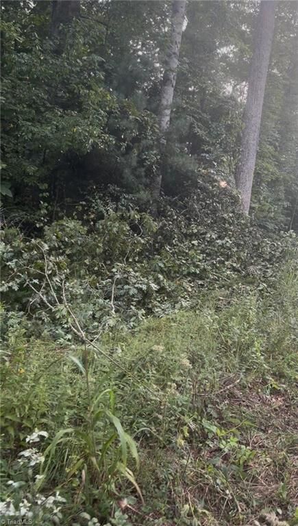 Property Photo: Lot 1 Edgewood Road NC 28697