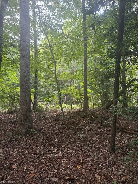 Property Photo: Lot 4 Edgewood Road NC 28697