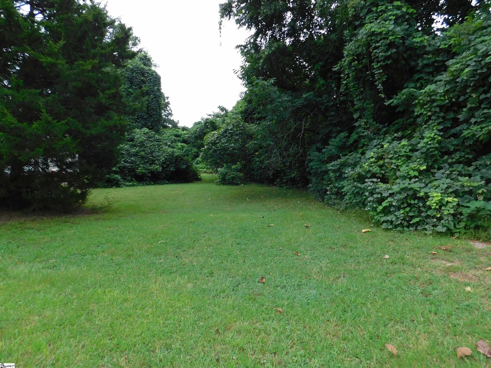 Property Photo:  127 Bomar Avenue  SC 29306 