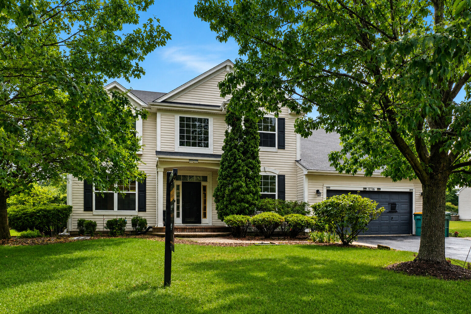 Property Photo:  12716 Meadow Lane  IL 60585 