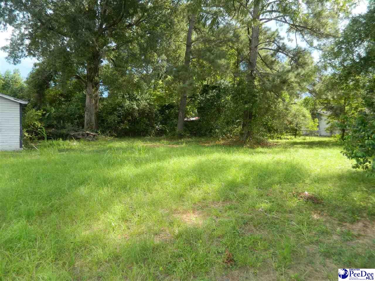 Property Photo:  416 N Warren Street  SC 29161 