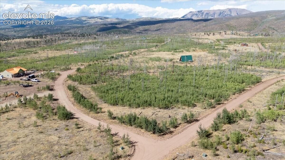 Property Photo:  Lot 1316 Biaggini Lane  CO 81133 