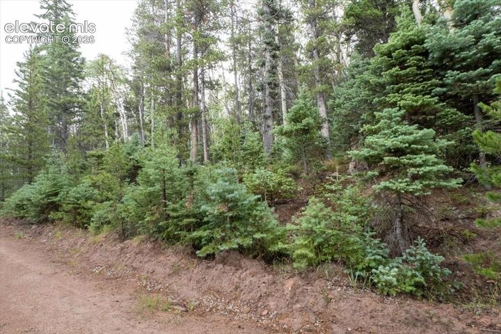Property Photo:  Lot 2614 Petito Drive  CO 81133 