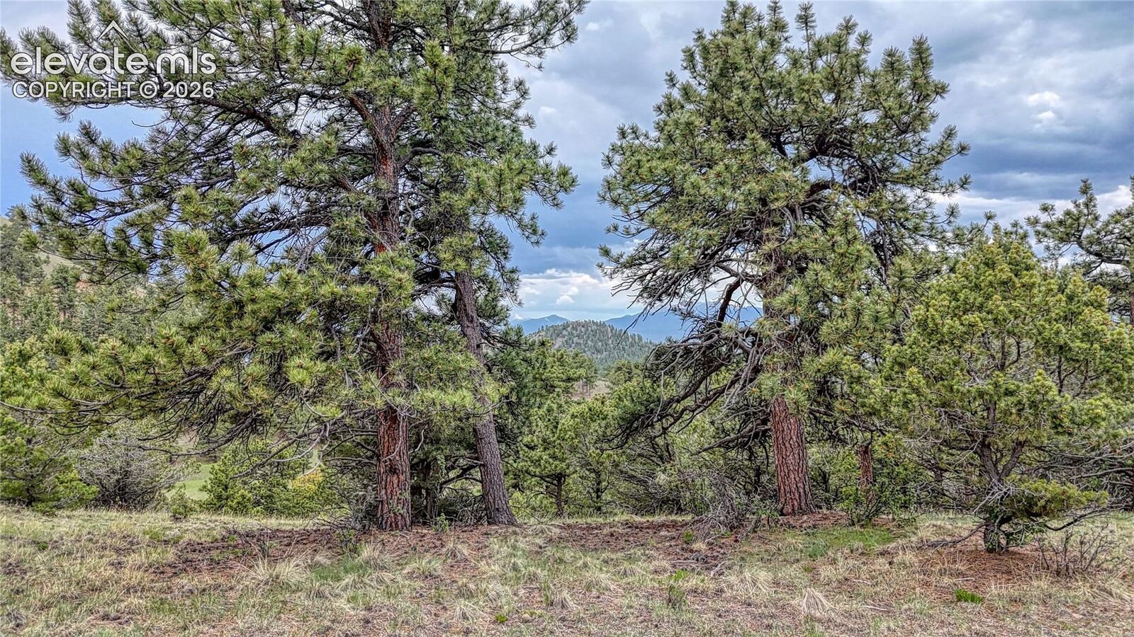 Property Photo:  44 Honeysuckle Terrace  CO 81252 