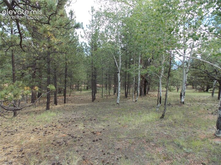 Property Photo:  738 Black Mesa Circle  CO 80816 