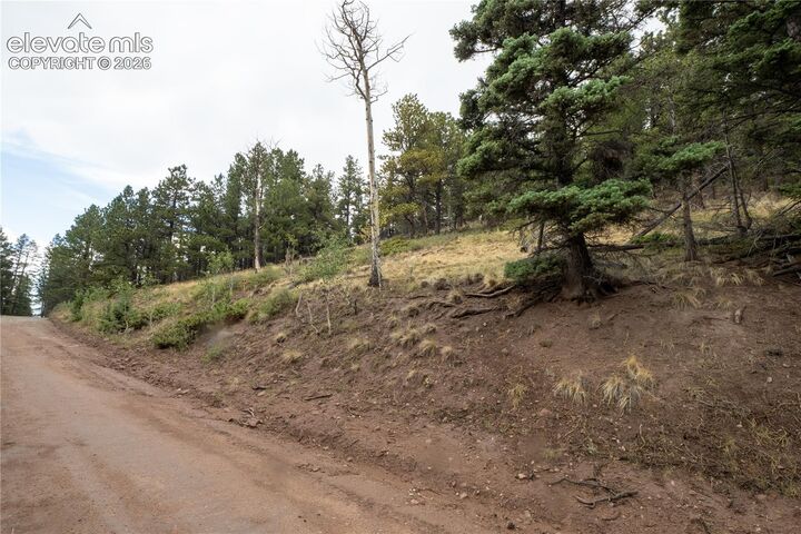 Property Photo:  Lot 2797 Moir Drive  CO 81133 