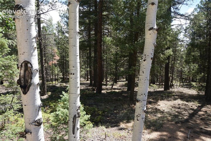Property Photo:  616 Indian Creek Road  CO 80816 