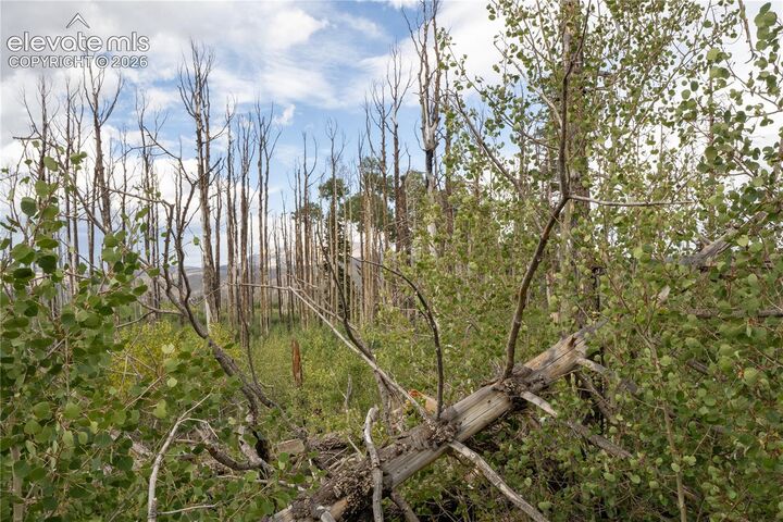 Property Photo:  Lot 1947 Hilda Lane  CO 81133 