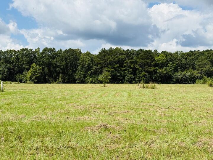 Property Photo: 25 Rack Rd Tract 2 MS 39466
