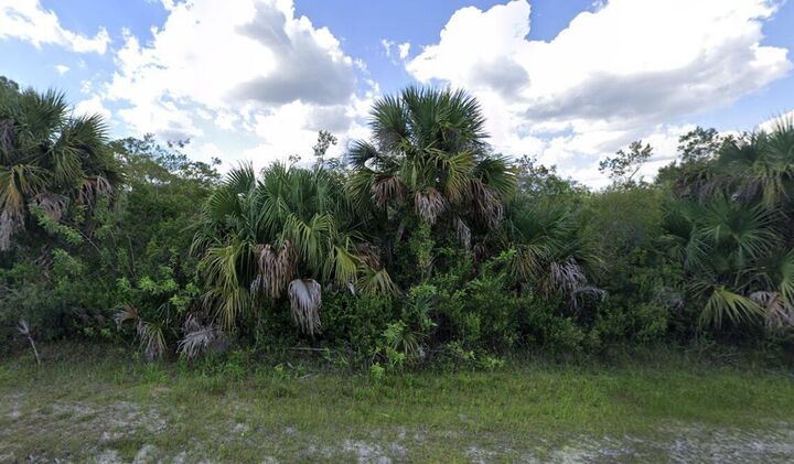Property Photo:  859 Ashland Street E  FL 33974 