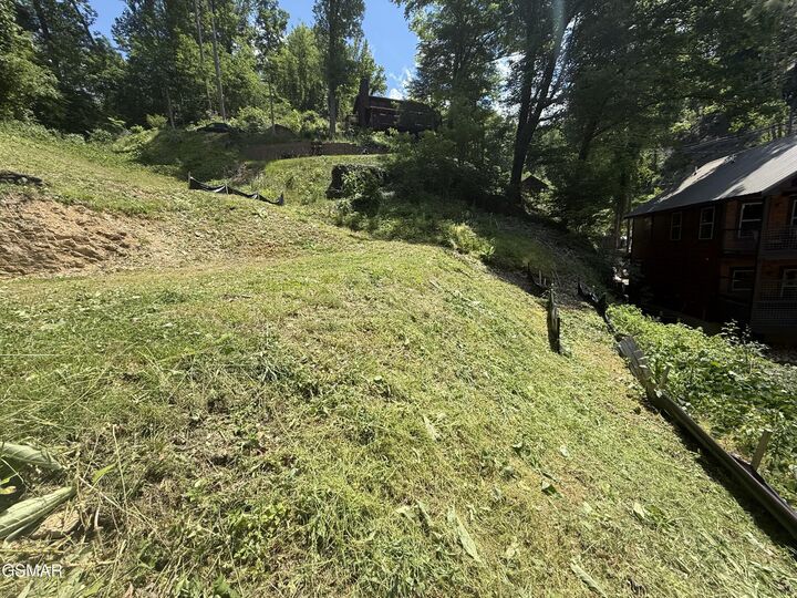 Property Photo: 229 Silverbell Lane TN 37738