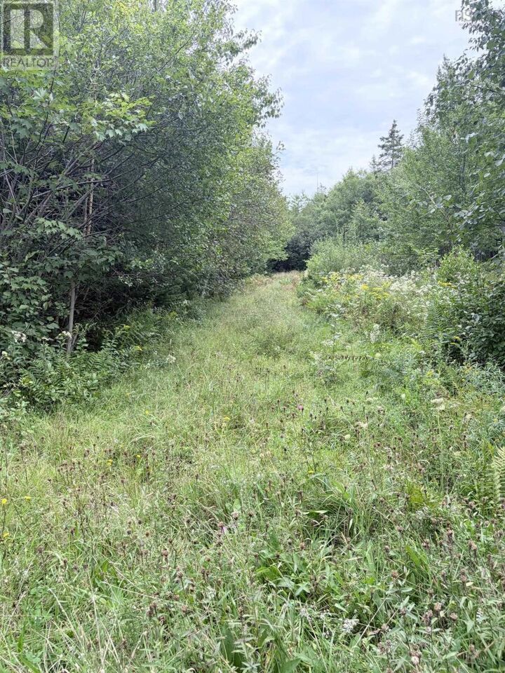 Property Photo:  Vacant Land Pid# 80045784 Oak Park Road  NS B0W 1E0 