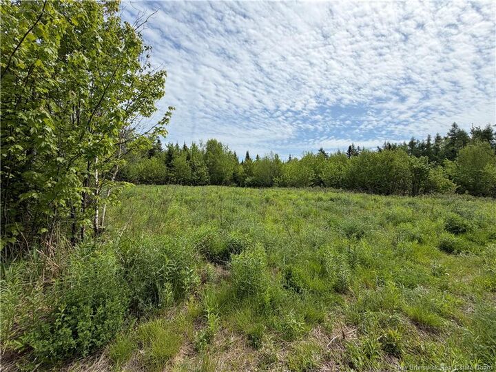 Property Photo:  225 South Black River Road  NB E1N 5S5 