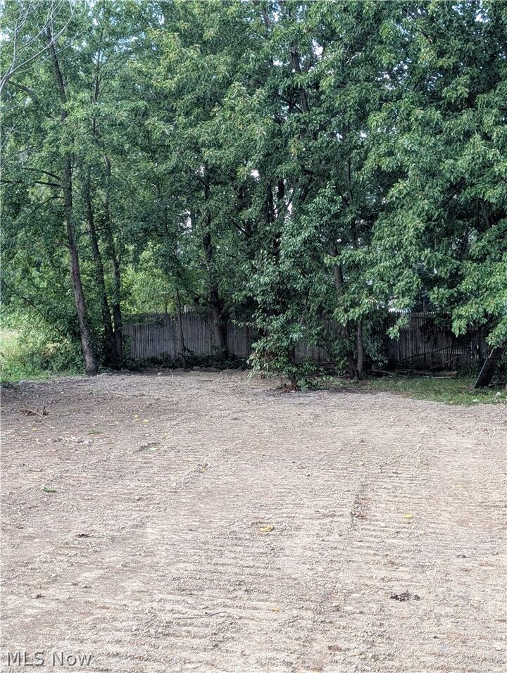 Property Photo:  2154 W 98th Street  OH 44102 