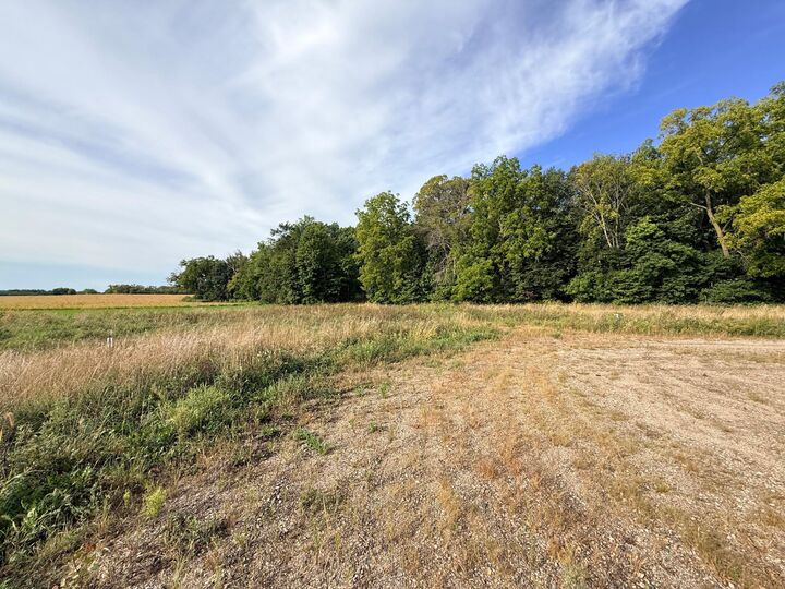Property Photo:  0 Harlee Court Lot 3  MN 55387 