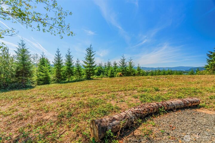 Property Photo: 0 Old Tree Farm Drive F WA 98632