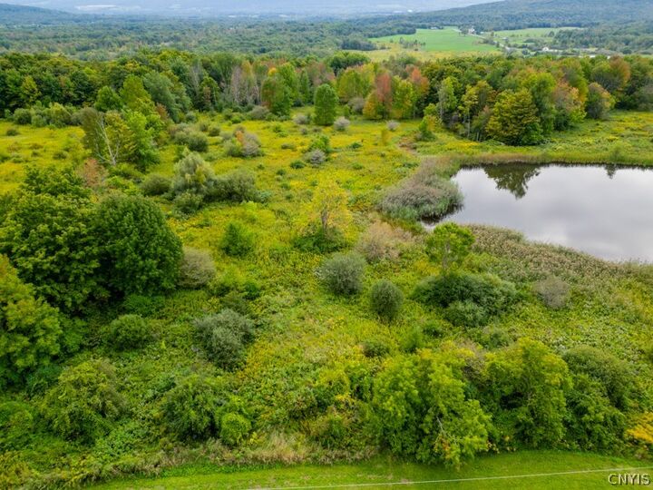 Property Photo:  144 Louis Ridge Rd  NY 13340 