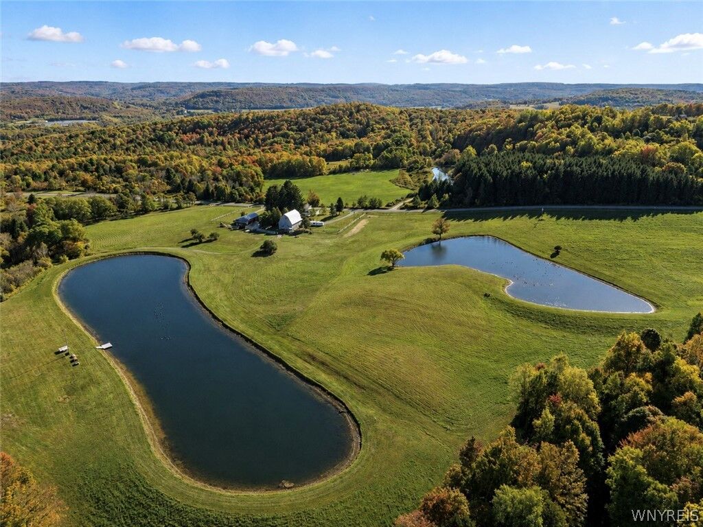 Property Photo:  9905 Rock Springs Road  NY 14171 