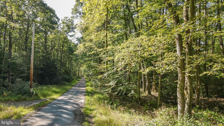 Property Photo:  Lot 40 Dogwood Drive  MD 21550 