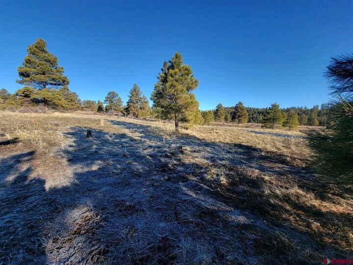 Property Photo:  660 Trails Boulevard  CO 81147 